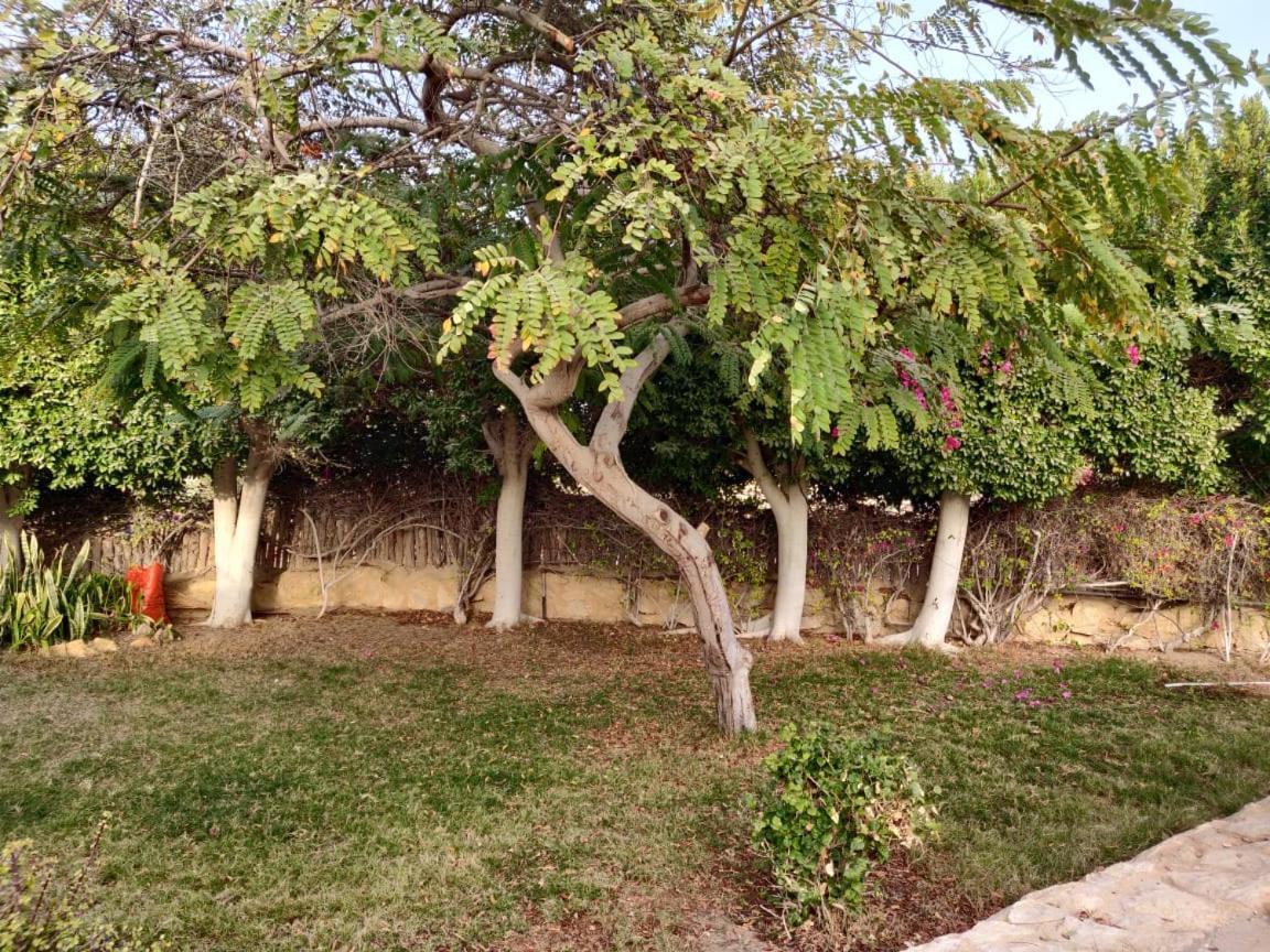 Tunis Lake View Izbat an Namus Exterior photo